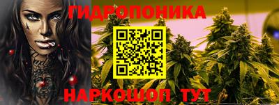 мдпв Тулун