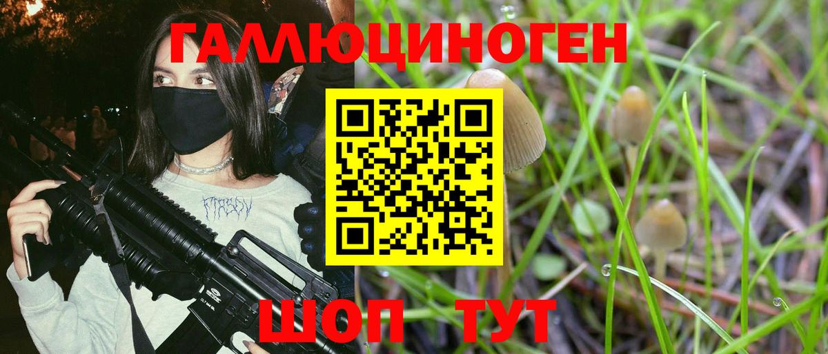 Борисоглебск  Галлюциногенные грибы Magic Shrooms  Вход с VPN 